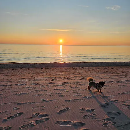 Maluno Apartamentai * Palanga